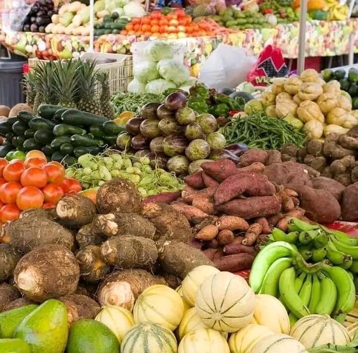 Hortaliças e Frutas